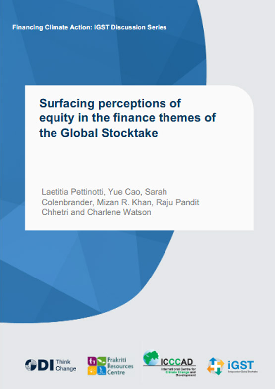 Surfacing perceptions of equity in the finance themes of the Global Stocktake