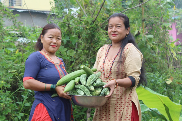 Webinar on Women-Led Climate Actions in Nepal