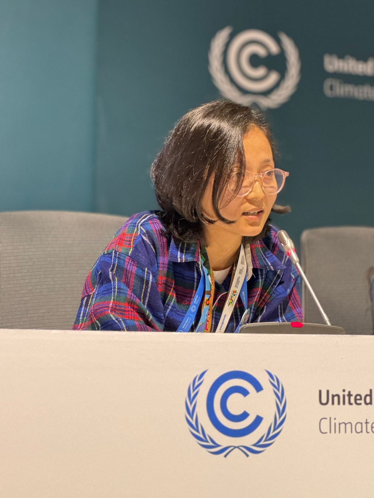 The Ying and Yang of Conference of Parties (COP) COP29-2024