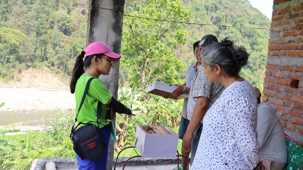 The Bees of Melamchi: A Story of Loss, Resilience, and Hope